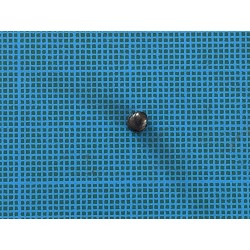 Diana 35: vis à tête lentille avec ergot (ou pointe) utilisée pour le réglage de gâchette.