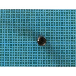 Diana 35: Petit rivet de longueur 1.9 cm