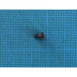 Diana 35: petite vis