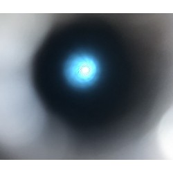 Diana 5: Canon d'origine