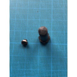 Diana 5: vis de canon d'origine