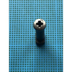 Gamo AF-10: Ref 15870, 15850, vis de fixation de plaquette de crosse AF10