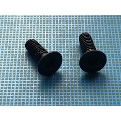 Beeman P17: Vis des plaquettes, d'origine. C1016