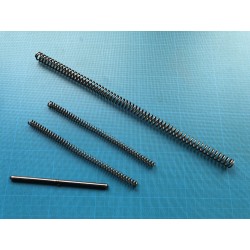 Diana 6: ressort de piston