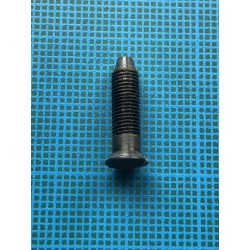 Diana 6: petite vis de pontet