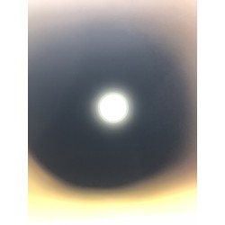 Double Bell VSR-10, VSR10 jeux olympiques: canon interne d'origine 6.02mm