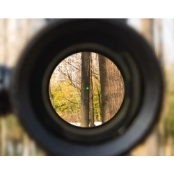 Red dot Diana 1X40 RD point rouge et vert pour rail de 11 et 20 mm